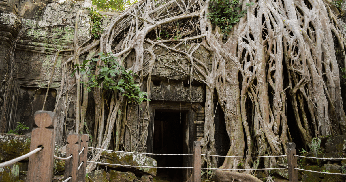 Ta Prohm Temple is a captivating destination that offers a glimpse into the ancient Khmer civilization. Built in the 12th century by King Jayavarman VII, this temple is renowned for its unique blend of nature and architecture.